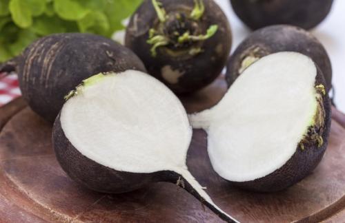 Репа пареная с медом. Полезные свойства репы и мёда