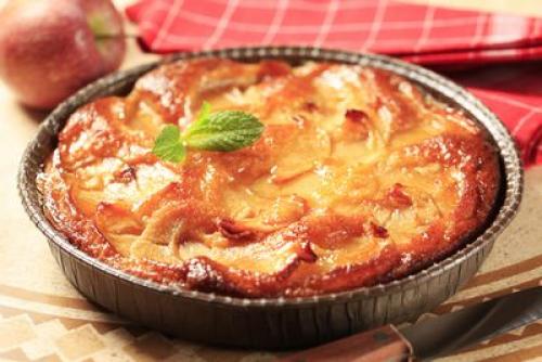 Как правильно сушить яблоки в электросушилке. Инструкция по сушению 04