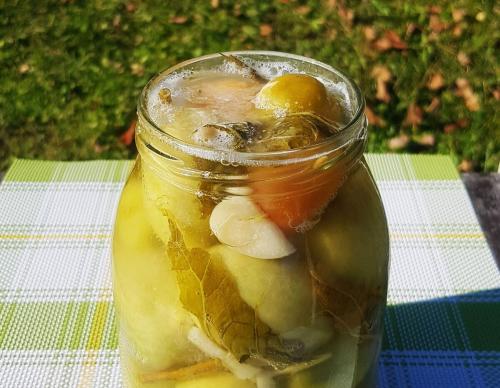 Квашеные зеленые помидоры с чесноком и зеленью. Квашеные зеленые помидоры. Рецепт - УХ!))