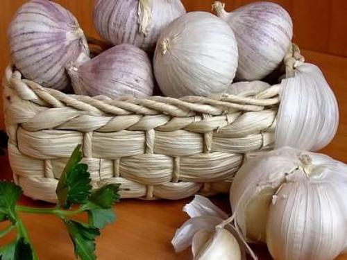 Как избавиться от моли в крупах на кухне. Как избавиться от моли в продуктах?