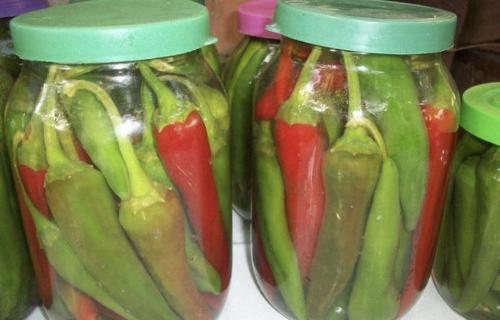 Перец горький соленый на зиму простой рецепт. Как засолить горький перец: лучшие рецепты с пошаговым приготовлением