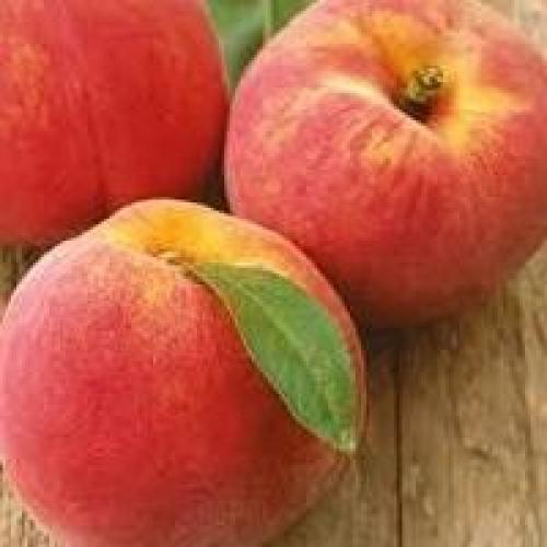 Технология сушки яблок. Как сушить яблоки в электросушилке