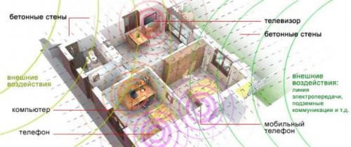 Куда пропали тараканы. Иногда они возвращаются 01