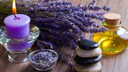 Эффективное средство от муравьев в домашних условиях. Народные секреты