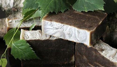 Эффективное средство от муравьев в домашних условиях. Народные секреты