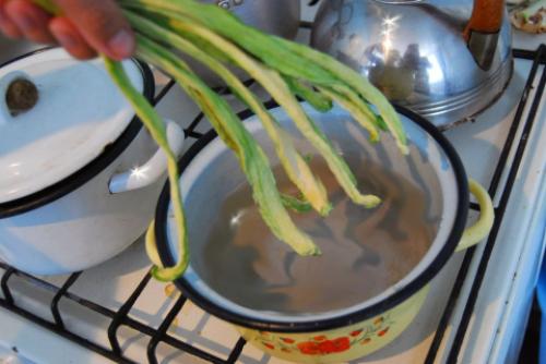 Кабачки вяленые на зиму. Кабачки вяленые: мастер-класс