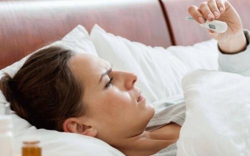 Укус дикого хомяка. Алгоритм действий при укусе