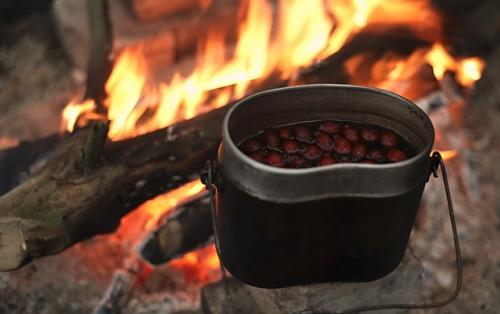 Свежий шиповник, как хранить. Как хранить свежий шиповник 04