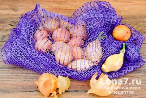 Как хранить лук в квартире. Репчатый