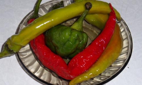 Квашенный перец горький. 2
 Квашение острого перца