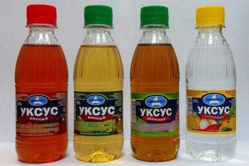 Эффективное средство от муравьев в домашних условиях. Народные секреты