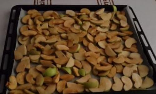 Как сушить яблоки над газовой плитой. Как высушить яблоки в духовке