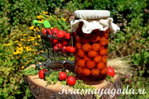 Варенье из боярышника. Рецепт варенья из боярышника с косточками