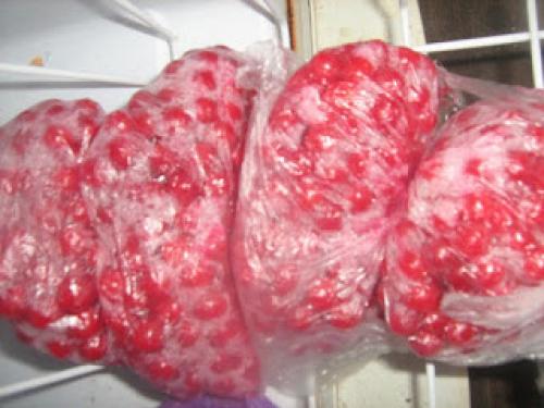 Как сушить боярышник на зиму в домашних условиях. Заготавливаем боярышник по правилам: сушка, хранение 04