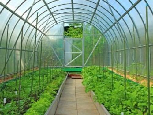 Теплица хлебница своими руками чертежи. Парник Хлебница: особенности конструкции 04