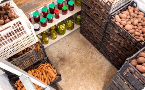 Ящик для овощей на балконе зимой. Как правильно хранить овощи на балконе