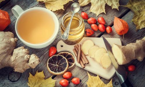 Свежий шиповник, как хранить. Как хранить свежий шиповник 06