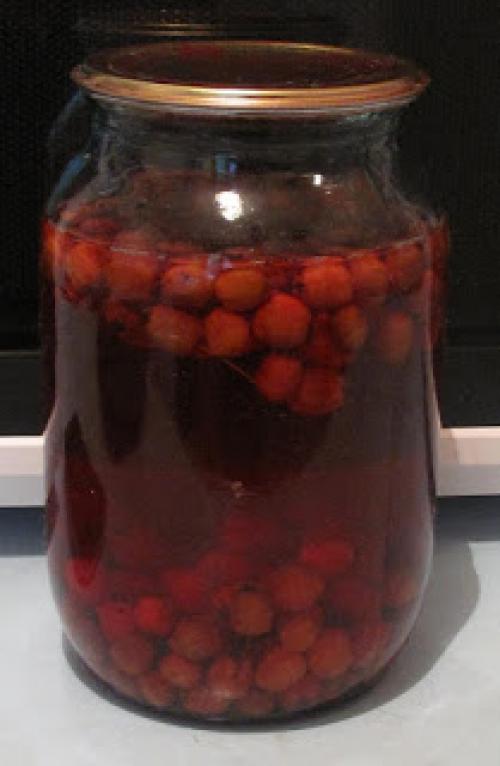 Как высушить боярышник в духовке. Заготавливаем боярышник по правилам: сушка, хранение 14 Как высушить боярышник в духовке. Заготавливаем боярышник по правилам: сушка, хранение 14