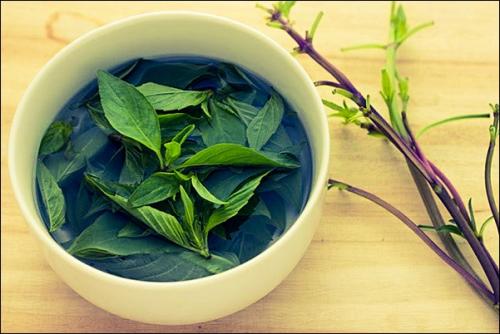 Базилик в чай. Чай с базиликом, как заваривать