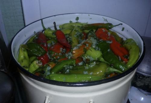 Перец горький соленый на зиму простой рецепт. Как засолить горький перец: лучшие рецепты с пошаговым приготовлением