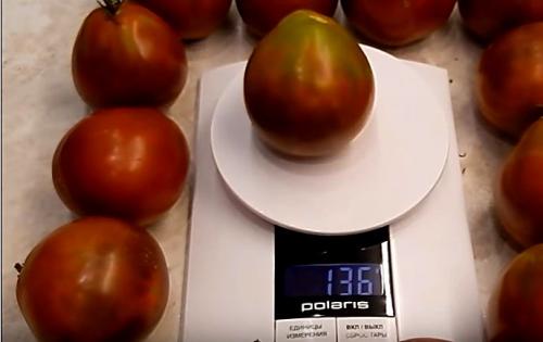 Сорт помидор Японский трюфель черный. Характеристика и описание сорта