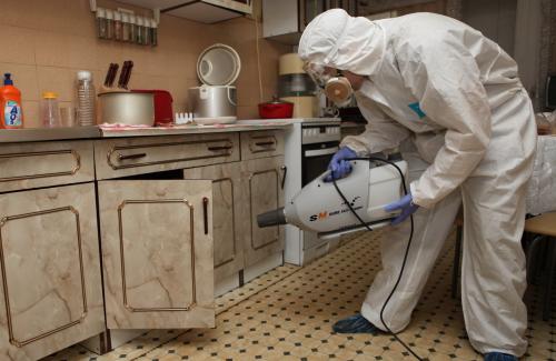 Как избавиться от постельных клопов в домашних условиях