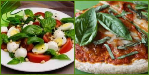 Чем полезен базилик. Базилик. Польза и вред для здоровья. Как употреблять базилик в пищу?