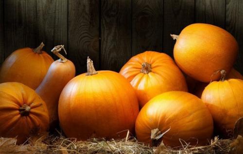 Как хранить тыкву на зиму. Основные способы хранения тыквы