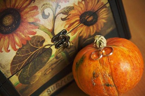 Тыква сколько хранится. Какие сорта подходят для хранения? 09 Тыква сколько хранится. Какие сорта подходят для хранения? 09