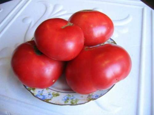 Малиновое чудо томат описание. Крупноплодные розовые томаты 06 Малиновое чудо томат описание. Крупноплодные розовые томаты 06