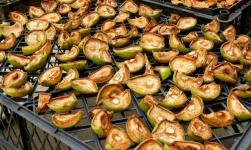 Как сушить груши целиком в духовке. Виды сушения груш в домашних условиях