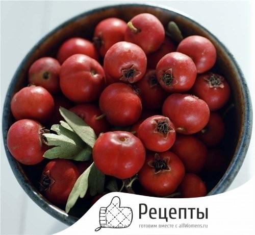 Как засушить на зиму боярышник. Заготавливаем боярышник по правилам: сушка, хранение 09