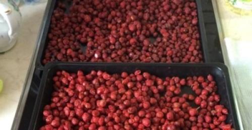 Как сушить боярышник в электрической духовке. Тонкости мастерства: как сушить боярышник в домашних условиях 02