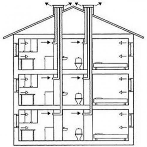 Как избавиться от клопов в диване. Клоповьи страсти: насекомые в диване