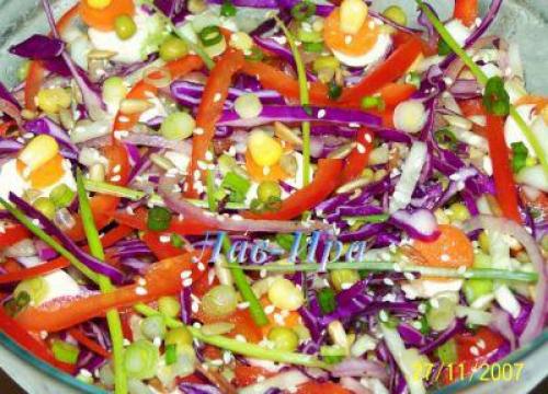 Можно ли варить из красной капусты щи. Вкуснейший борщ из пекинской капусты пошаговый рецепт с фото 09