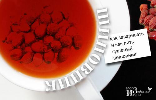 Как хранить отвар шиповника. Как заваривать шиповник, чтобы сохранить в нем все витамины