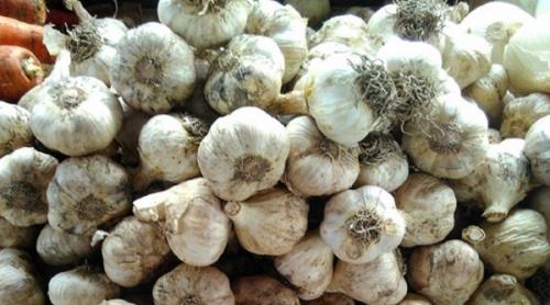 Настойка чеснока на красном вине полезные свойства применение рецепт. Настойка чеснока на вине