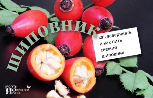 Как правильно пить шиповник. Как заваривать шиповник в термосе