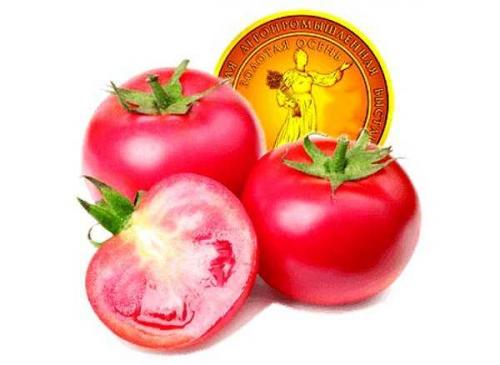 Малиновое чудо томат описание. Крупноплодные розовые томаты 10 Малиновое чудо томат описание. Крупноплодные розовые томаты 10