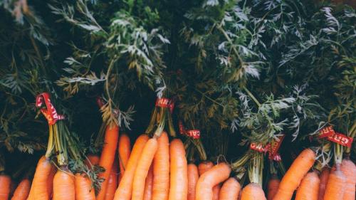 Как хранить морковь в холодильнике, чтоб не вяла. Как хранить очищенную морковь в холодильнике: 3 способа