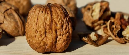 Как сушить фундук. Методы сушки орехов