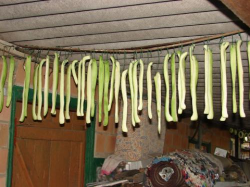 Вяленые кабачки в масле. 