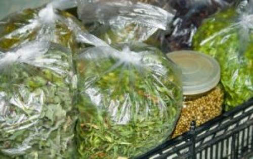 Как сушить базилик. Как сушить ароматный базилик в домашних условиях 08