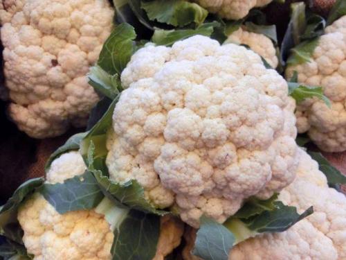 Когда убирать капусту в октябре по лунному календарю. Сроки уборки поздней капусты с огорода по регионам в 2019 году