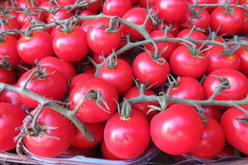 Малиновое чудо томат описание. Крупноплодные розовые томаты