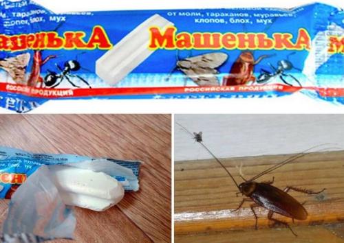 Мел от тараканов опасен для человека. Как работает мелок от тараканов