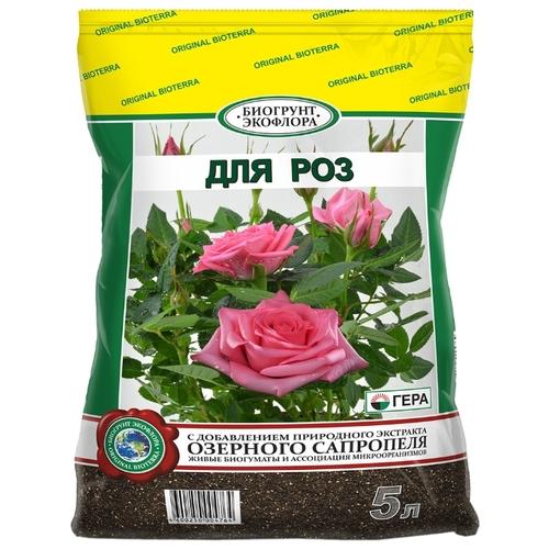 Паутинный клещ на розе. Паутинный клещ: внешний вид, признаки появления и профилактика