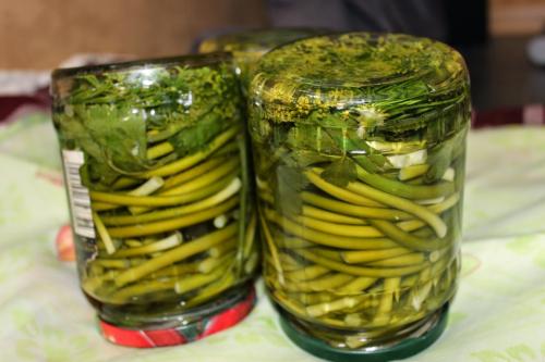 Как сохранить чеснок зимой, чтобы не высох. Как хранить молодой чеснок и чем его обработать