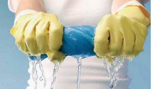 Как избавиться от клопов в диване. Клоповьи страсти: насекомые в диване