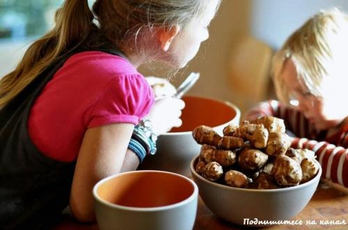 Топинамбур сезон. Топинамбур: лечебные свойства и противопоказания